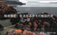 暗夜揭密：名流生活中不可触碰的禁区