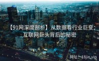 【91网深度剖析】从数据看行业巨变：互联网巨头背后的秘密