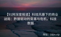 【91网深度报道】科技风暴下的商业谜局：数据驱动的变革与危机，科技 数据
