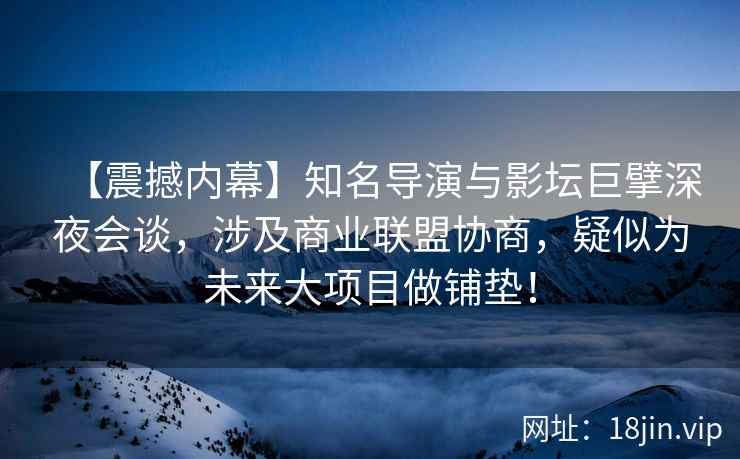 【震撼内幕】知名导演与影坛巨擘深夜会谈，涉及商业联盟协商，疑似为未来大项目做铺垫！