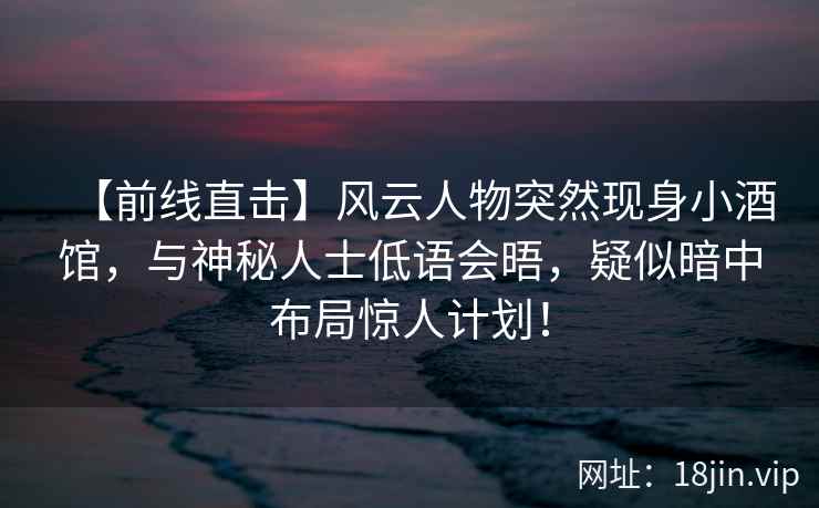 【前线直击】风云人物突然现身小酒馆，与神秘人士低语会晤，疑似暗中布局惊人计划！